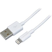 USB A to Lケーブル 1m ホワイト