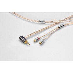 Clear force Ultimate CL Pentaconn ear Short 2.5φL 1.2m CF-U-CL-PE-S 2.5 L