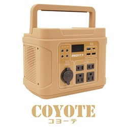 マイティー300ワット MIGHTY 300W Orange別注 MMN-SY-33-Coyote