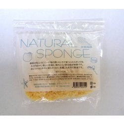 天然海綿 (ボディー用) 1個