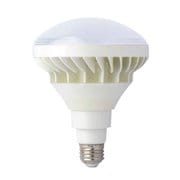 #316376 [CLD-20W LED交換球]