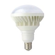 #316377 [CLD-50W LED交換球]