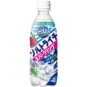がぶ飲みソルトライチスパークリング 500ml×24本 PET