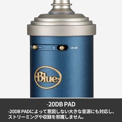 blue bluebird sl bm1200 xlr 動作未確認 本体ケーブル blue bluebird sl bm1200 xlr 動作未確認 本体ケーブル blue