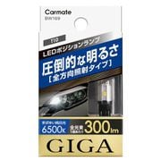 BW 169 [LEDポジションバルブ S300T 6500K]