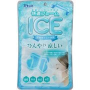 立体インナーマスク 快適フレームICE ふつう (本体1個、保冷剤1個入)