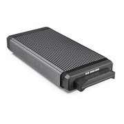 PRO-READER RED Mini-Mag Edition 受注生産品 SDPR4G8-0000-GBAND