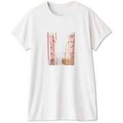 フォトプリントティー PHOTO PRINT TEE DC721312 アイスグレー(IH) XLサイズ [フィットネス トップス レディース]