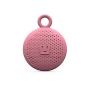 UAG-RUAITD-DR [UbyUAG DOT KEYCHAIN AirTag用 ダスティローズ]
