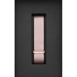 DW00200245 [Petite 16 Rosewater RG レディース ポリエステル]