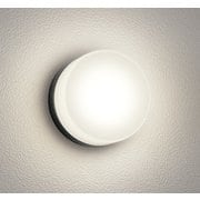 エクステリアライト OG254982LR