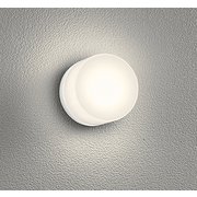 エクステリアライト OG264001LR
