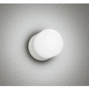 エクステリアライト OG264003NR