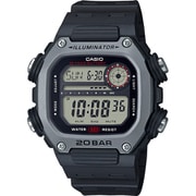 スタンダードウォッチ DW-291H-1AJF