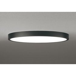シーリングライト/～12畳 OL291413BR