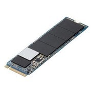 内蔵SSD M.2 PCIe接続 1TB 外付けケース付 ESD-IM21024G