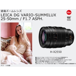 ヨドバシ.com - パナソニック Panasonic H-X2550 [LEICA DG VARIO