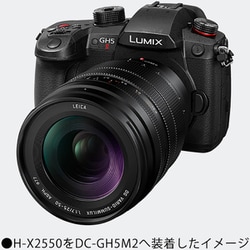 ヨドバシ.com - パナソニック Panasonic H-X2550 [LEICA DG