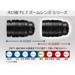 ヨドバシ.com - パナソニック Panasonic H-X2550 [LEICA DG VARIO