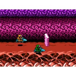 ヨドバシ.com - コロンバスサークル バトルトード BATTLETOADS