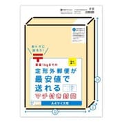 マチ付郵便規格内封筒 A4サイズ 2枚入 HP3059
