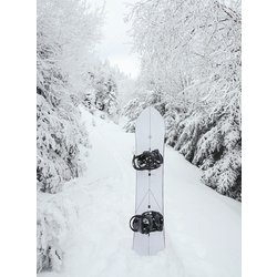 バートン　ショーストッパー　ファミリーツリー　BURTON Burton Family Tree Show Stopper Camber Snowboard | Burton