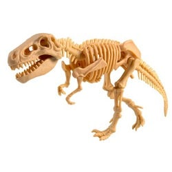 恐竜発掘セット ティラノサウルス GMO93 恐竜発掘キット ティラノサウルス：おもちゃ：百町森