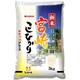精米 宮崎県産 コシヒカリ 5kg 令和6年産