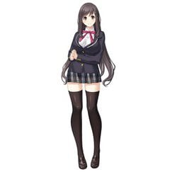 ヨドバシ.com - エンターグラム フルキスSS 完全生産限定版