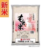 精米 千葉県産 ヒメノモチ もち米 1kg 令和7年産