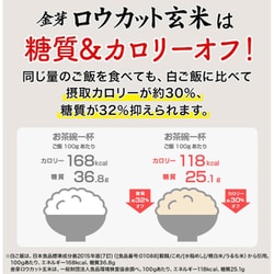 ヨドバシ.com - 東洋ライス 金芽ロウカット玄米 2kg 令和5年産 通販