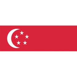 406326 [東京製旗 卓上旗（16×24cm）シンガポ-ル]