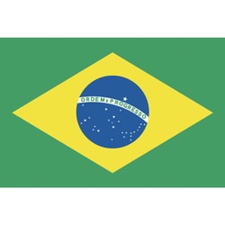 406646 [東京製旗 卓上旗（16×24cm）ブラジル]