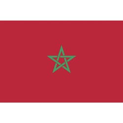 406786 [東京製旗 卓上旗（16×24cm）モロッコ]