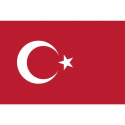 416485 [東京製旗 国旗No.1（70×105cm） トルコ]