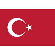 416485 [東京製旗 国旗No.1（70×105cm） トルコ]