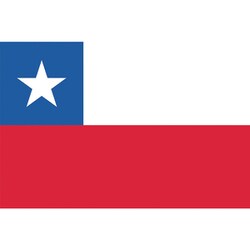 ヨドバシ.com - 東京製旗 426427 [東京製旗 国旗No.2（90×135cm） チリ