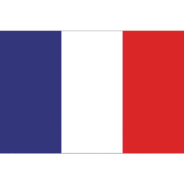 東京製旗 426647 [東京製旗 国旗No.2（90×135cm） フランス] - 環境