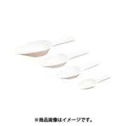 レオナ 1262-01 計量スプーンPP 4703―1001 4703-1001