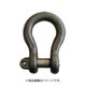 JBC10 [大洋 JISシャックル M級 黒 BC-10]