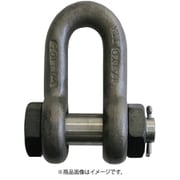 JSB30G [大洋 JISシャックル M級 ドブ SB-30]
