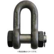 JSB32G [大洋 JISシャックル M級 ドブ SB-32]