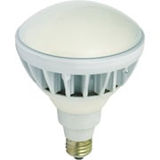 L20W-JW110-50K [日動 LED交換球 ハイスペックエコビック20W E26 昼白色]