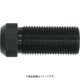 LN4-06M10 [TRUSCO LN4MPKE用ノーズピース M10 1個]