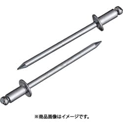 エビ ブラインドリベット（スティール/スティール製） 4-1（65本入） エコパック NS41MP
