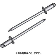 NS43MP [エビ ブラインドリベット（スティール/スティール製） 4-3（65本入） エコパック]