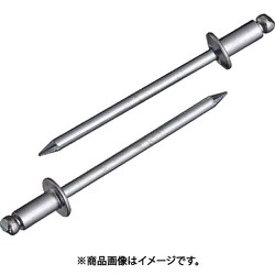 エビ ブラインドリベット（スティール/スティール製） 4-5（55本入） エコパック NS45MP