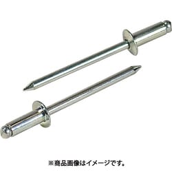エビ ブラインドリベット（スティール/スティール製） 5-5（40本入） エコパック NS55MP