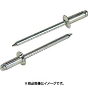 NS55MP [エビ ブラインドリベット（スティール/スティール製） 5-5（40本入） エコパック]