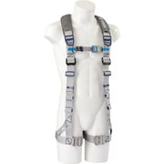 PAHN-10A-SI-L [タイタン パンゲア ホライゾン シルバー L （墜落制止用器具）]
